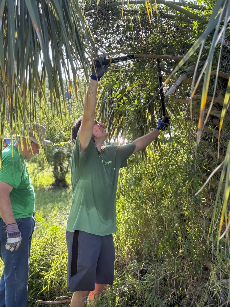 Volunteer using long-handled pruning shears to cut overgrown brush at a Bartow community cleanup