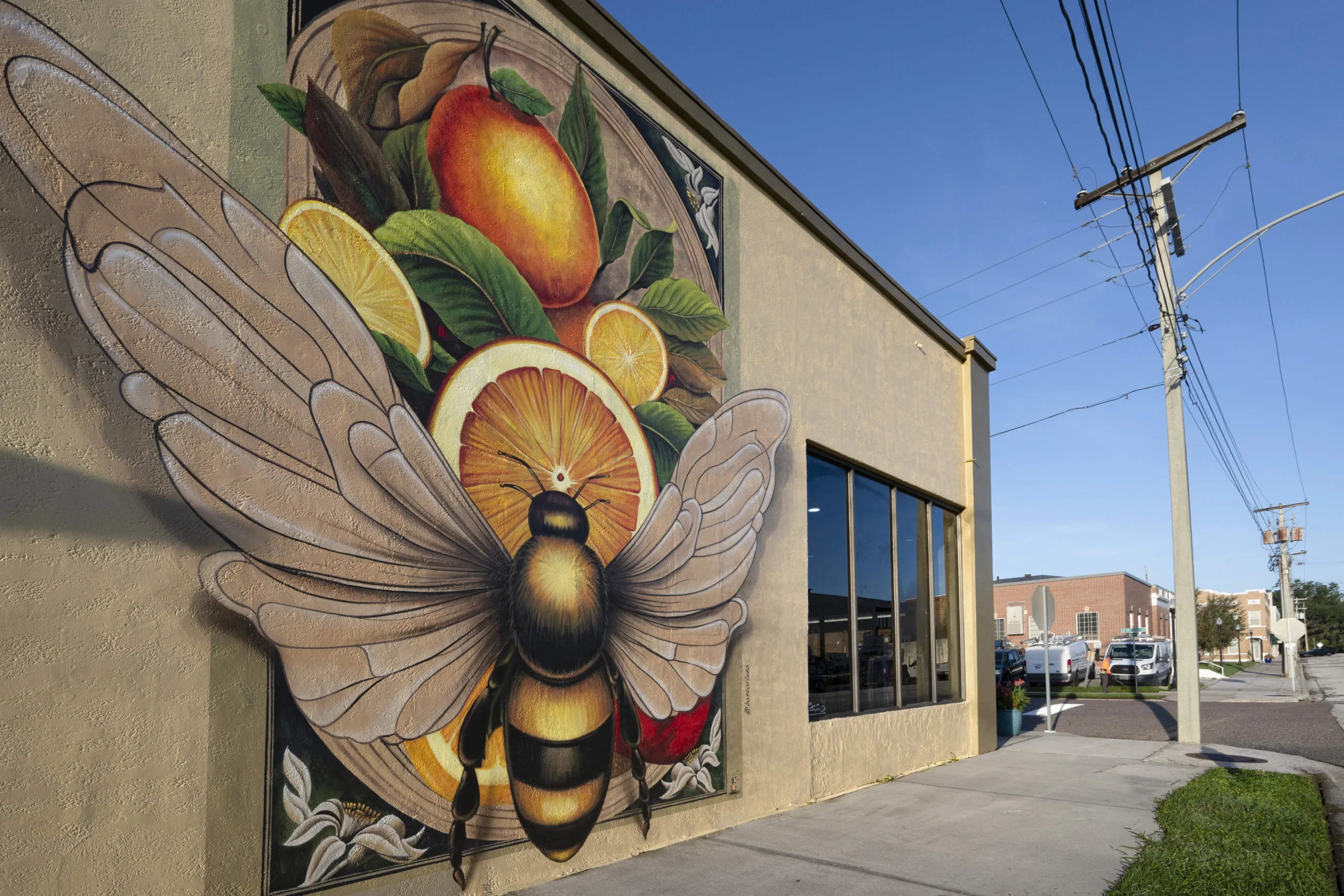 Bee and citrus fruit mural painted on the side of a downtown Bartow building
