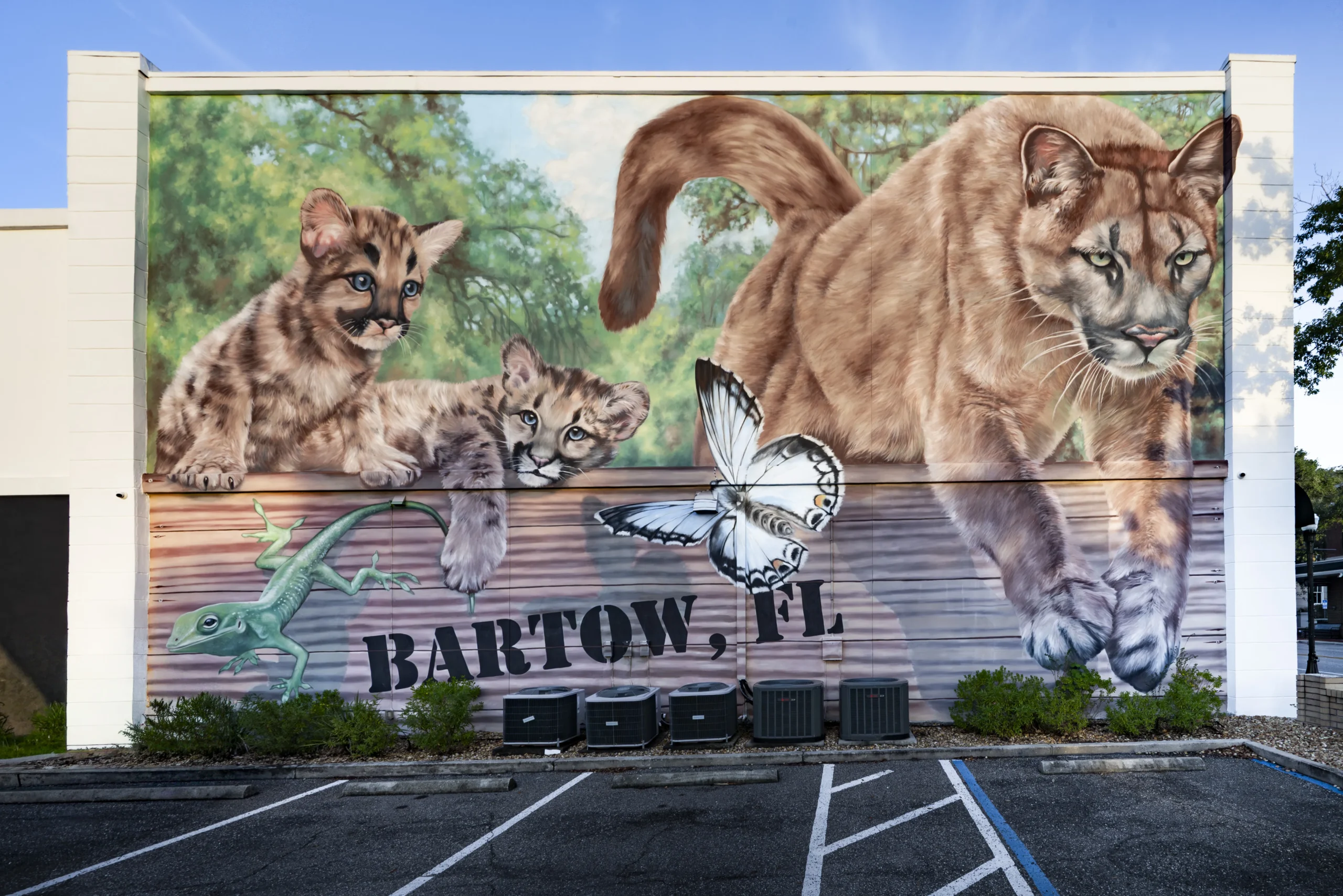 Ground-level view of a Bartow FL panther and cougar cub mural painted on a downtown building